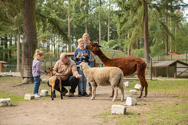 Magic Park Verden Familie 066